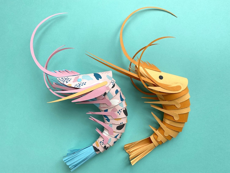 Paper Prawns par Lisa Lloyd