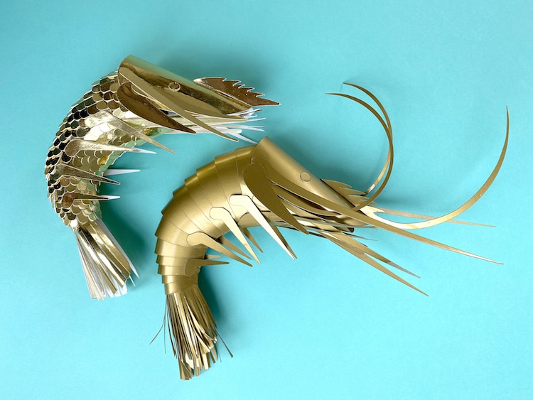 Paper Prawns par Lisa Lloyd
