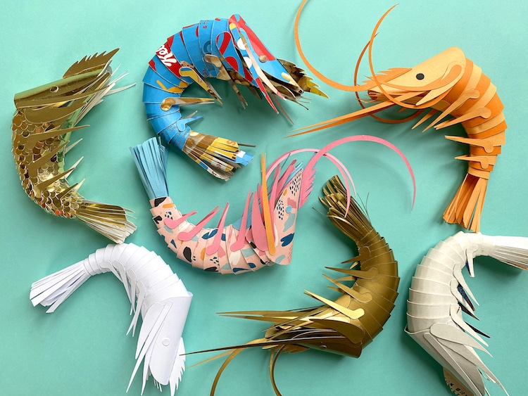 Paper Prawns par Lisa Lloyd