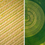 De superbes photographies aériennes de Mitch Rouse capturent les motifs précis des terres agricoles