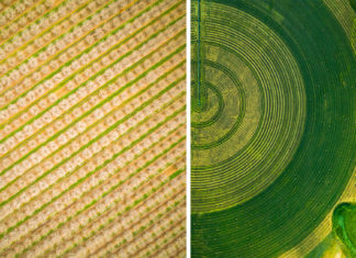 De superbes photographies aériennes de Mitch Rouse capturent les motifs précis des terres agricoles