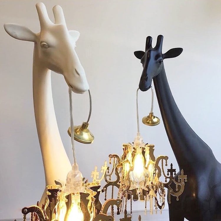 Lustres Girafe par Marcantonio
