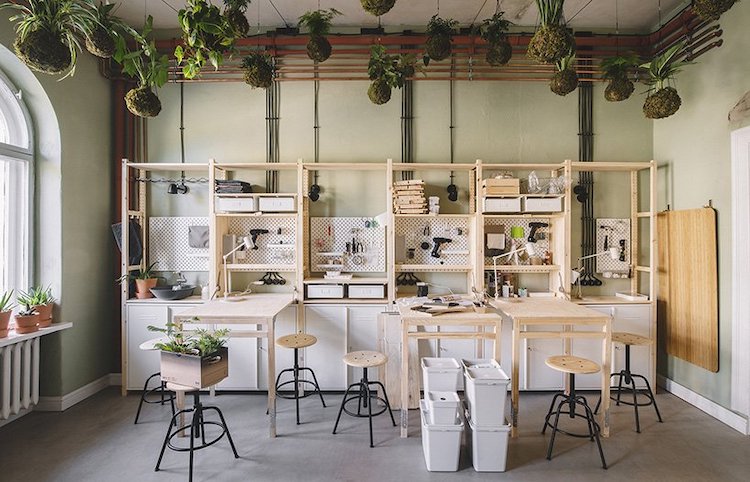 Maison moderne remplie de plantes