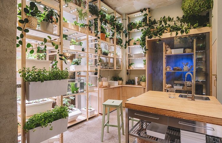 Maison durable remplie de plantes