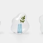 Des vases conçus pour vivre à l’intérieur d’une bulle