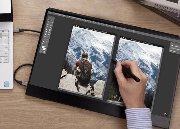 Moniteur portable à écran tactile de 17,3 pouces Ananta