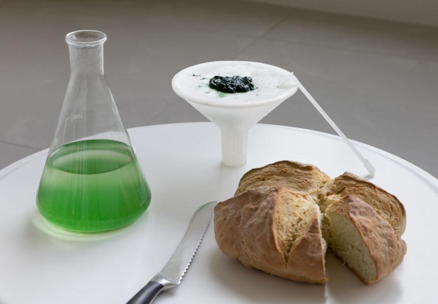 pain à côté de contenant de plus en plus de spiruline