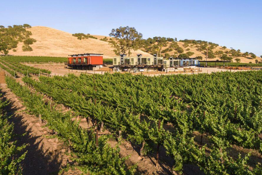 rangées de conteneurs d'expédition entourées d'un vignoble