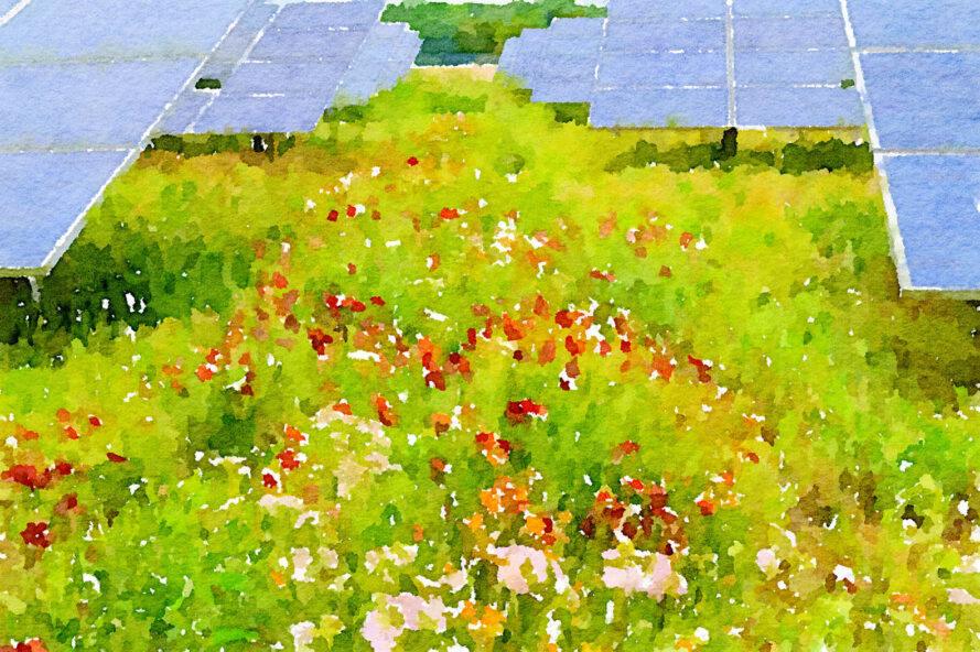 une peinture d'un champ vert avec des fleurs rouges entourant deux rangées de panneaux solaires