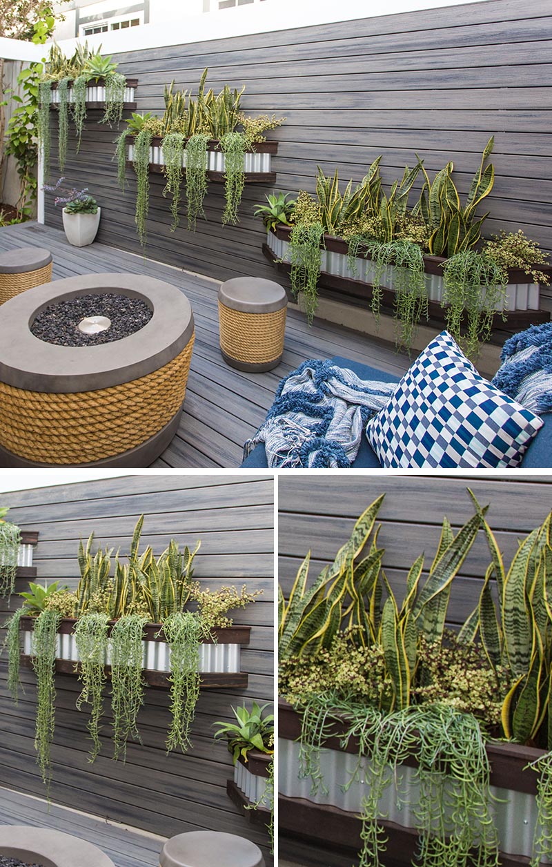 Sur le mur de cette clôture se trouvent trois jardinières en acier ondulé et en bois conçues et fabriquées sur mesure, remplies de sansevieria et de senecio avec de l'agave, créant une variété de hauteurs et ajoutant une douceur au mur. #OutdoorPlanters #WallPlanters #FencePlanters #Landscaping #SideYard
