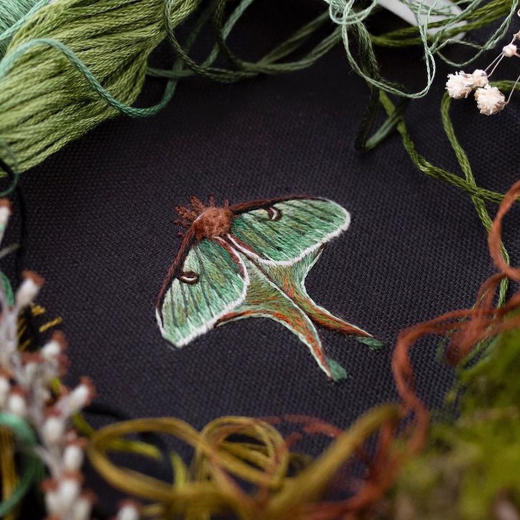 Broderie à l'aiguille par Emillie Ferris