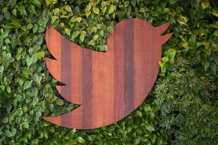 Twitter envisage peut-être un modèle d’abonnement