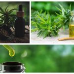 Qu'est-ce que le CBD et à quoi sert-il?
