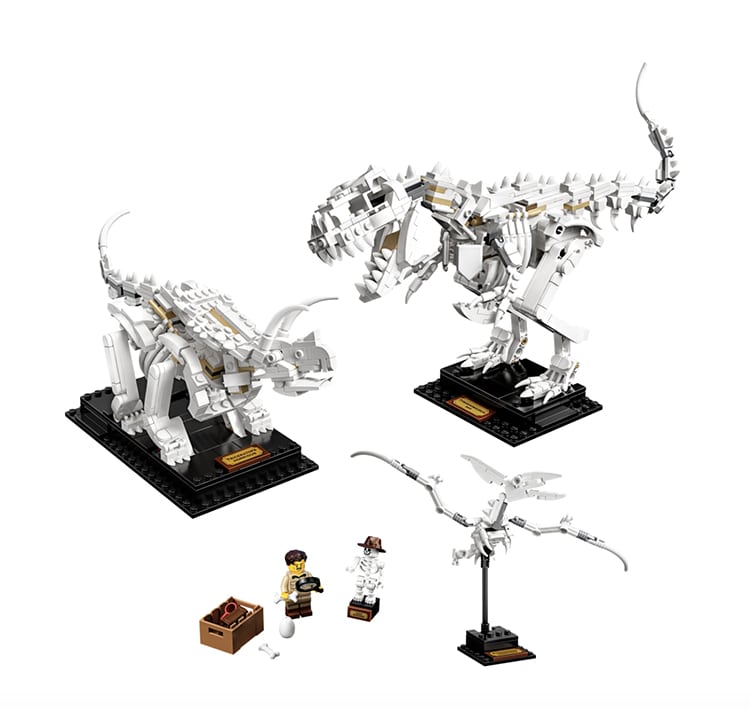 Ensemble LEGO de fossiles de dinosaures
