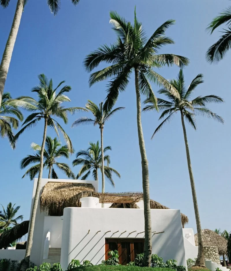 L’usine de canne à sucre locale inspire le magnifique hôtel Azucar de Monte Gordo