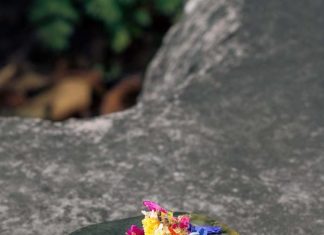 Jouw … Une nouvelle façon de manger avec la gastronomie expérimentale mondiale