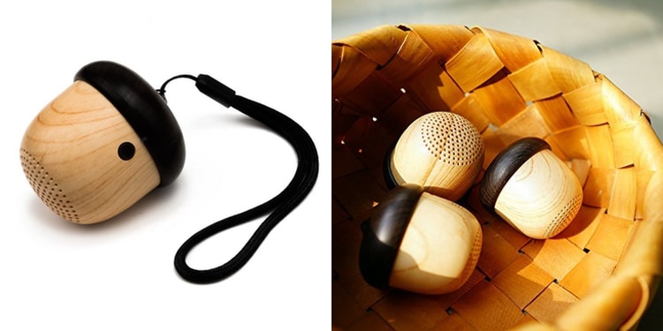 haut-parleur portable acorn