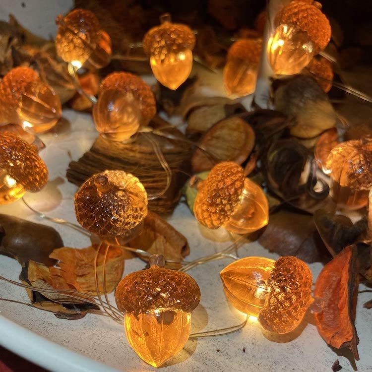 Lumières scintillantes décoratives Acorn
