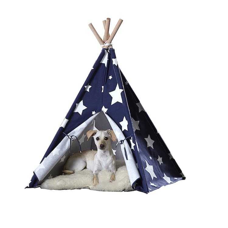 Maison de tipi pour chien