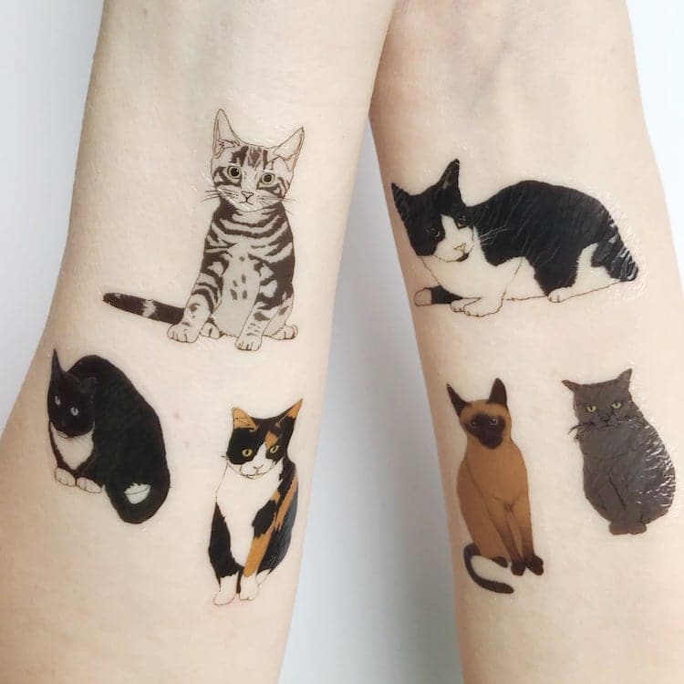 Tatouages ​​temporaires de chat