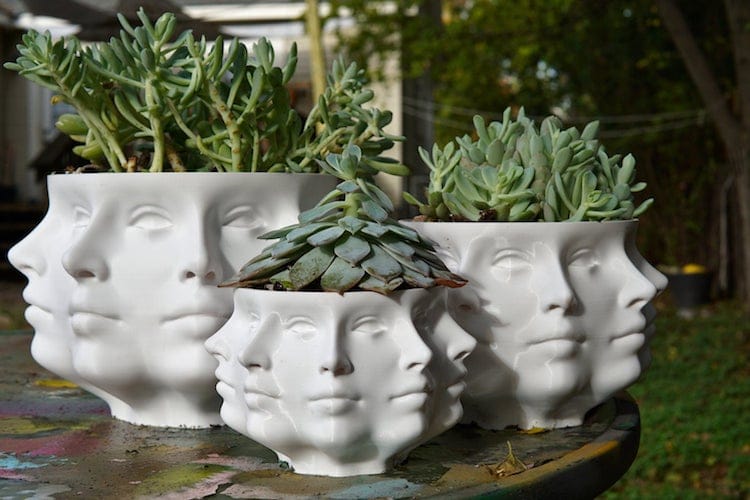 Jardinière de visage