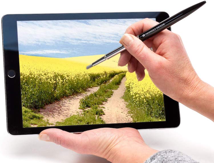 Le stylet de brosse convivial Swede pour écrans tactiles