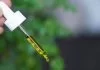 CBD contre l’anxiété Anxiété CBD