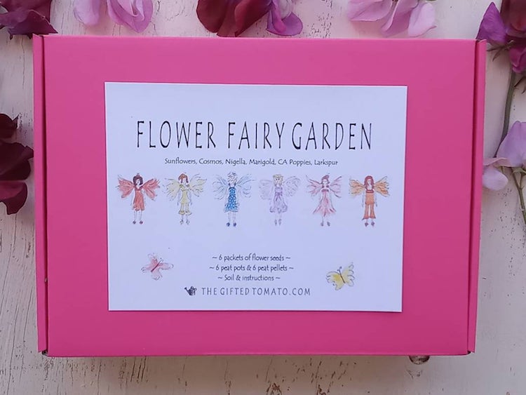Kit de jardin de fées