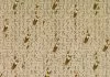 Perle de gouttes d’eau étincelantes sur la toile des peintures hyperréalistes de Kim Tschang-Yeul