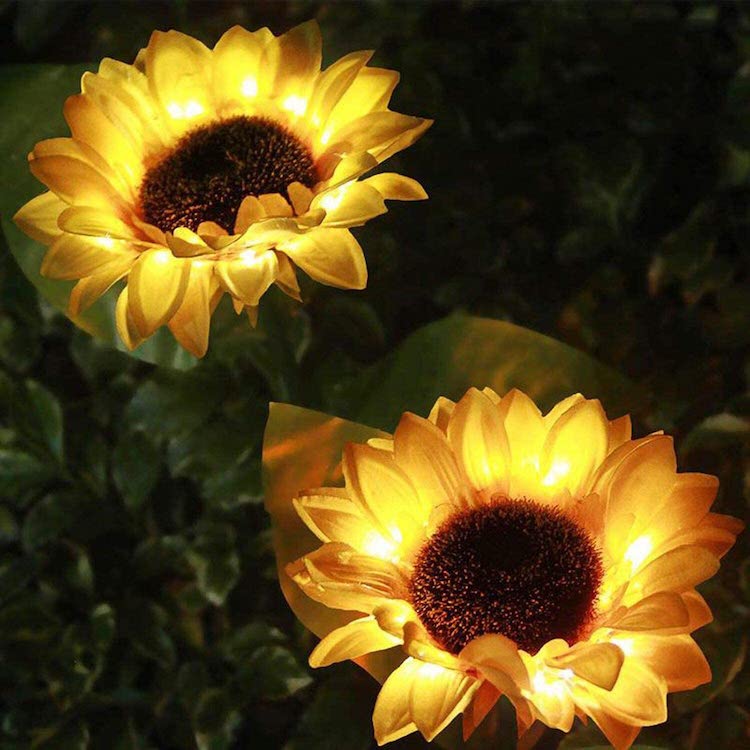 Lumières de tournesol à énergie solaire