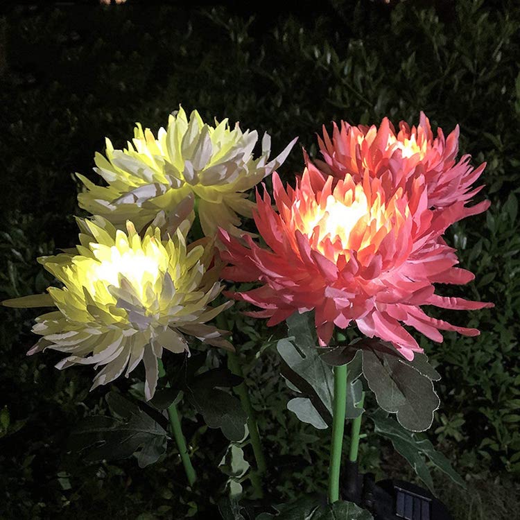 Lumières de fleurs à énergie solaire