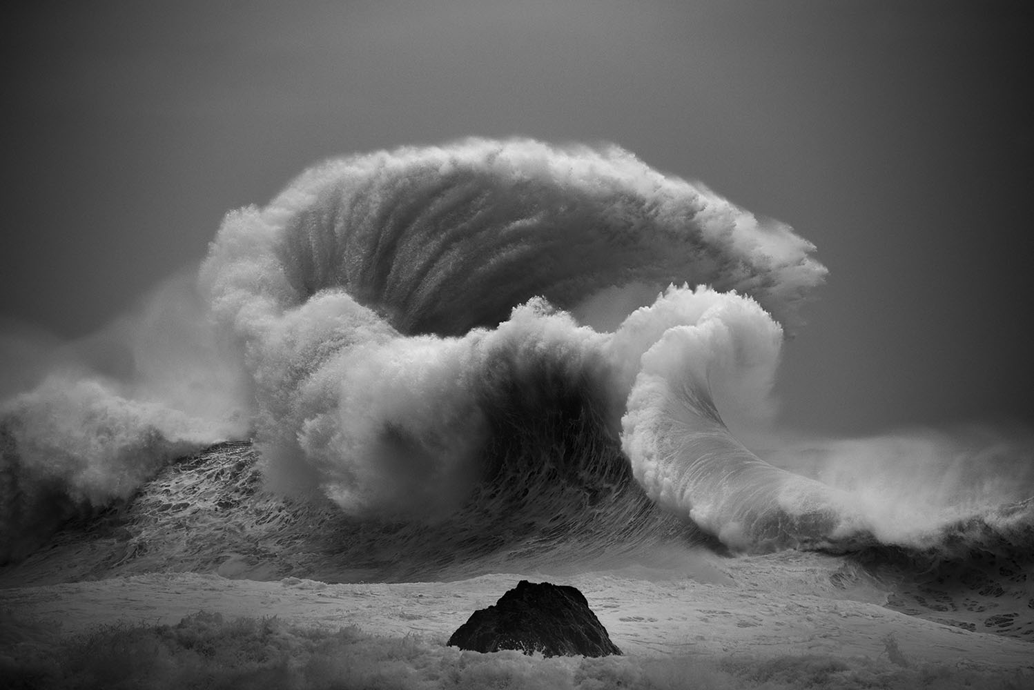 3 photographes océaniques créant des images enivrantes