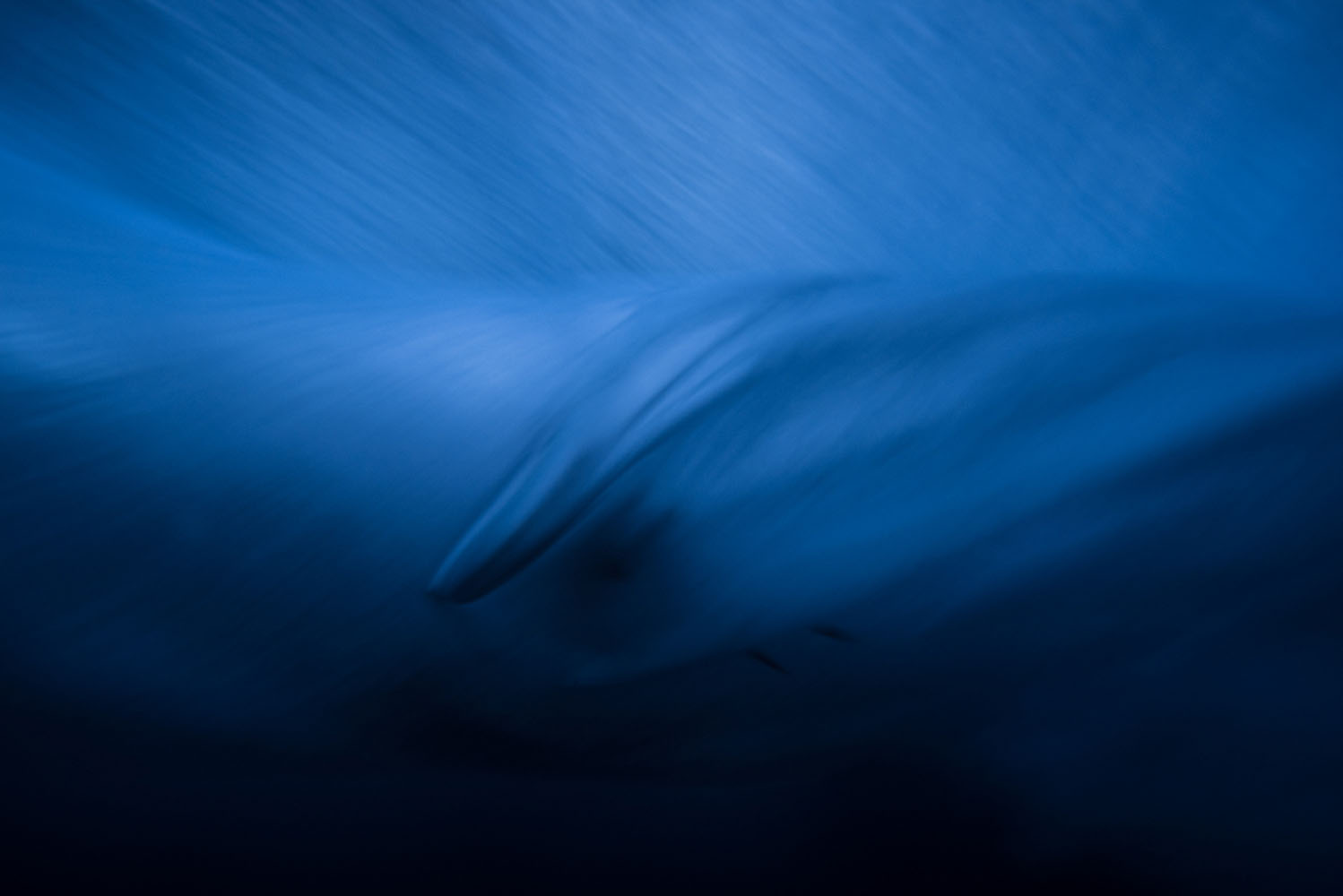 3 photographes océaniques créant des images enivrantes