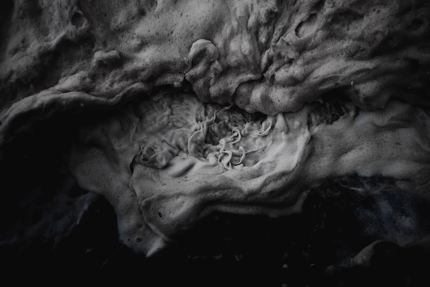 3 photographes océaniques créant des images enivrantes