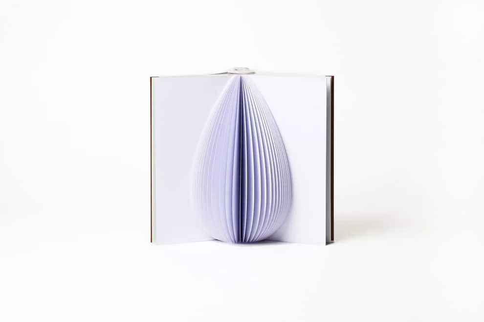 Vase à livre ouvert Conte fleuri