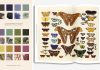 La palette de la nature: un nouveau livre élargit le guide de référence de la couleur pour les artistes et les naturalistes avec 800 illustrations riches