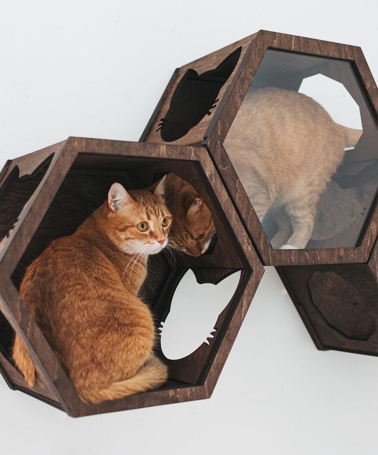 Meubles muraux pour chats par Catsmode