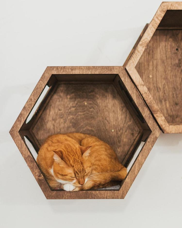 Meubles muraux pour chats par Catsmode