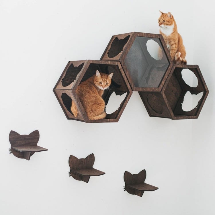 Meubles muraux pour chats par Catsmode