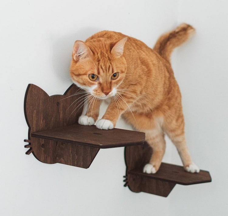 Meubles muraux pour chats par Catsmode