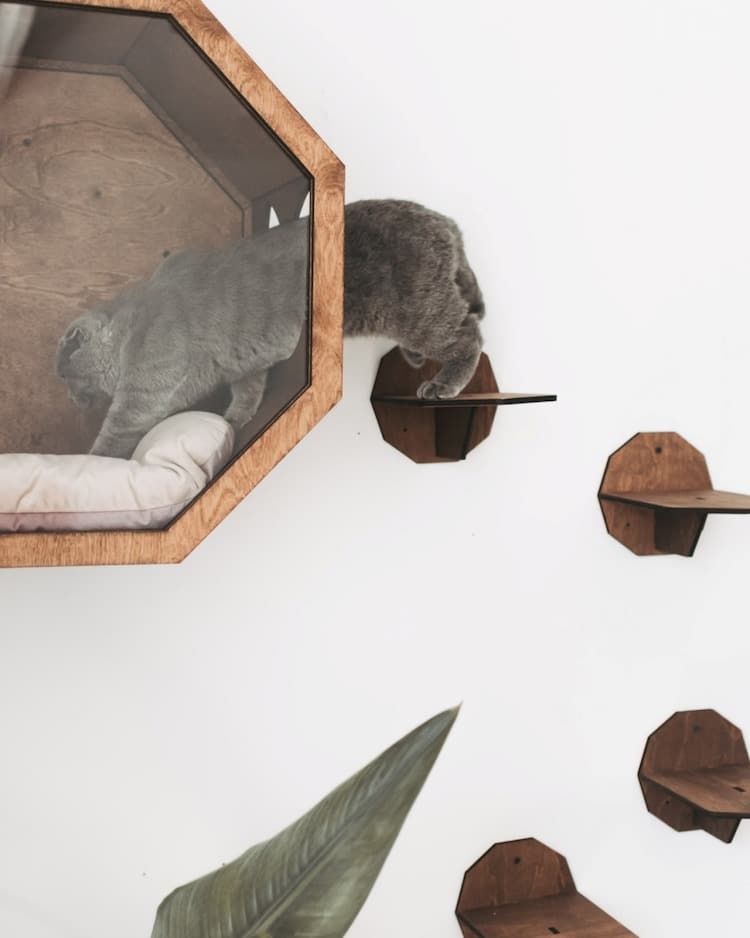 Meubles muraux pour chats par Catsmode