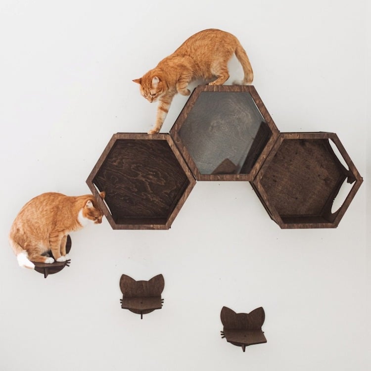 Meubles muraux pour chats par Catsmode
