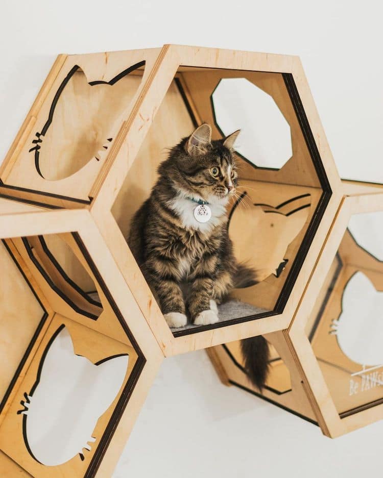 Meubles muraux pour chats par Catsmode