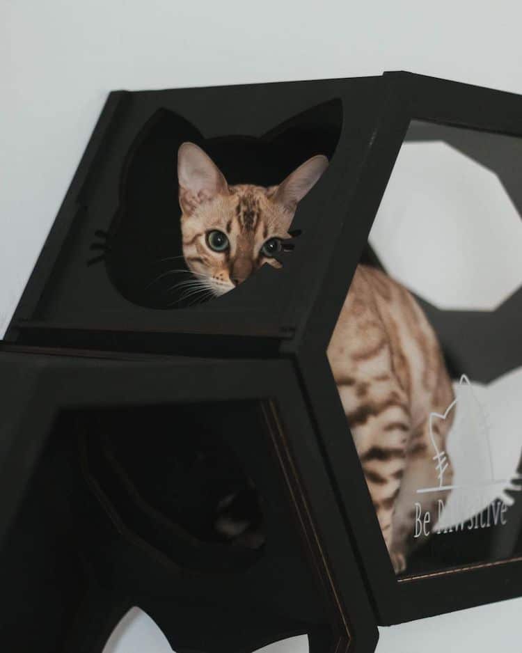 Meubles muraux pour chats par Catsmode