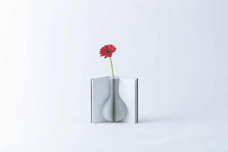 Vase livre de conte fleuri