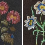 Les fleurs se transforment en fleurs particulières dans les peintures de style XVIIIe siècle de Laurent Grasso