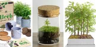 15 kits de jardinage et de culture pour vous aider à cultiver votre pouce vert