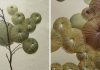 Les herbes et les brindilles préservées rayonnent vers l’extérieur dans les sculptures délicatement brodées de l’artiste Kazuhito Takadoi