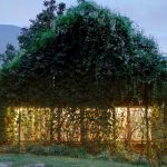 Evergreen Architecture : un nouveau livre explore les bâtiments qui placent la nature en leur cœur