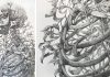 Des vignes et des fleurs s’entrelacent avec un squelette imposant dans un élégant dessin au graphite de Guno Park